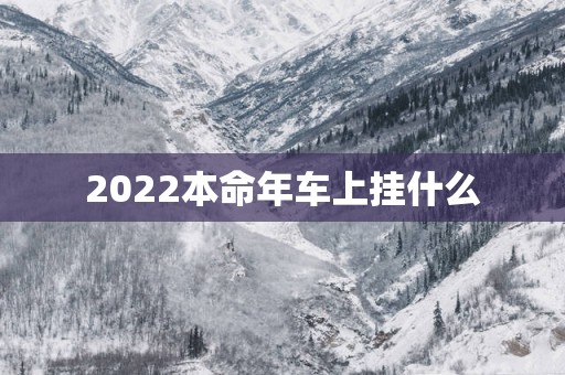 2025本命年车上挂什么