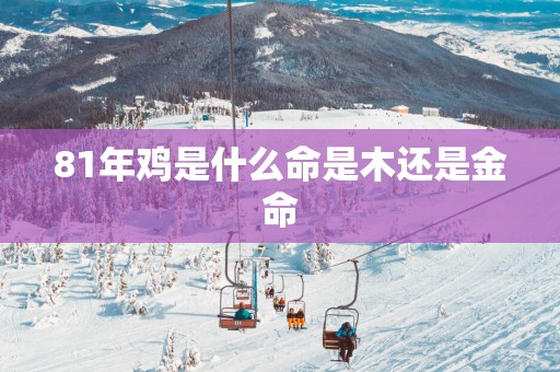 81年鸡是什么命是木还是金命