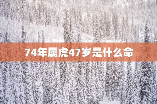 74年属虎47岁是什么命