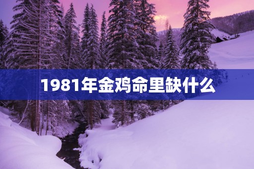 1981年金鸡命里缺什么