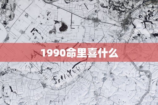 1990命里喜什么