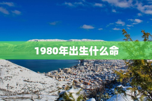 1980年出生什么命