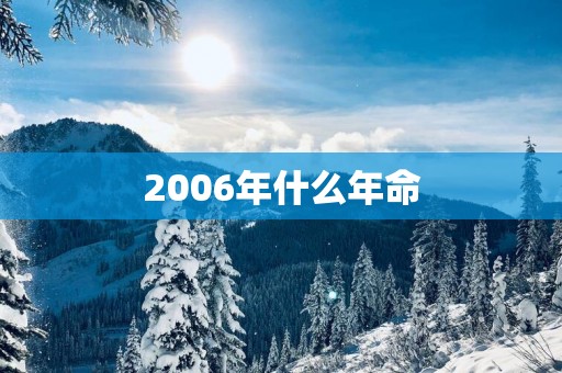 2006年什么年命