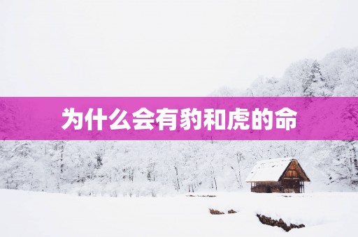 为什么会有豹和虎的命