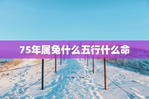 75年属兔什么五行什么命