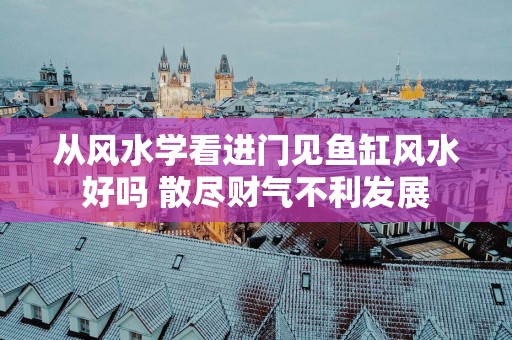 从风水学看进门见鱼缸风水好吗 散尽财气不利发展