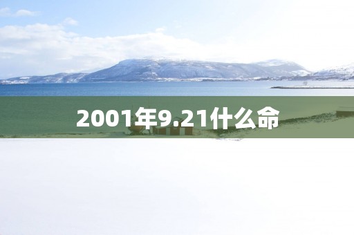 2001年9.21什么命