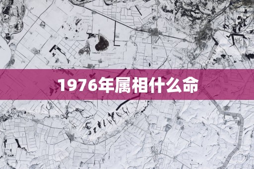1976年属相什么命