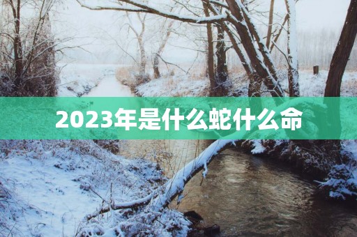 2023年是什么蛇什么命