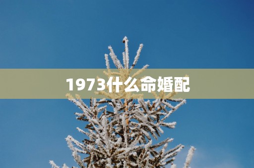 1973什么命婚配