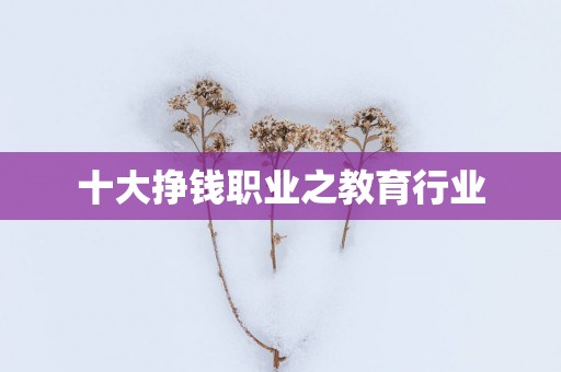 十大挣钱职业之教育行业