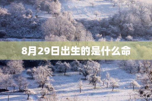 8月29日出生的是什么命
