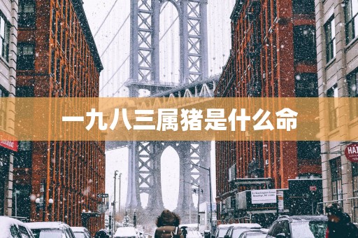 一九八三属猪是什么命