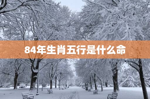 84年生肖五行是什么命