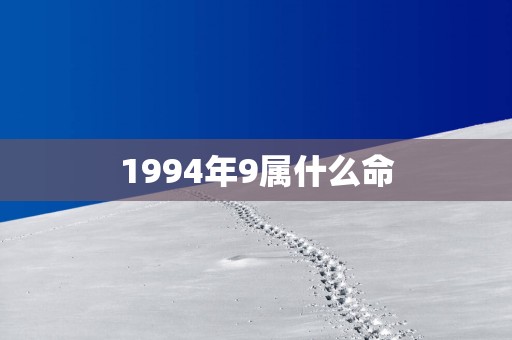1994年9属什么命