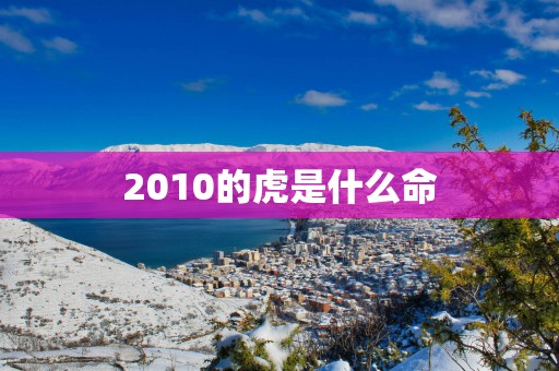 2010的虎是什么命