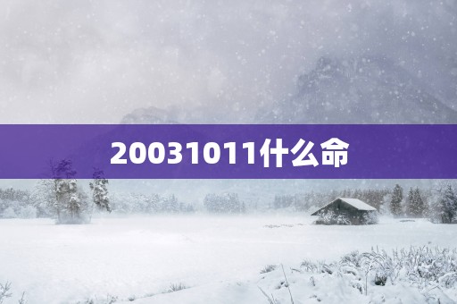 20031011什么命