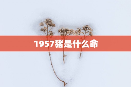 1957猪是什么命