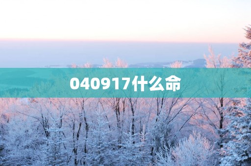 040917什么命