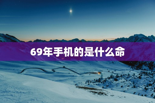 69年手机的是什么命
