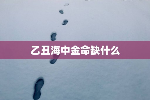 乙丑海中金命缺什么