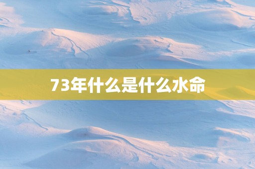 73年什么是什么水命