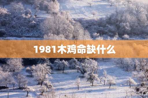 1981木鸡命缺什么