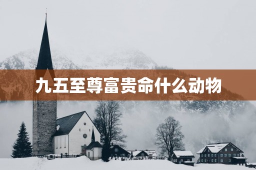 九五至尊富贵命什么动物