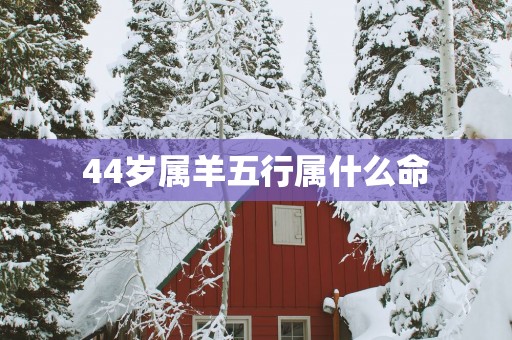 44岁属羊五行属什么命