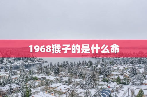 1968猴子的是什么命