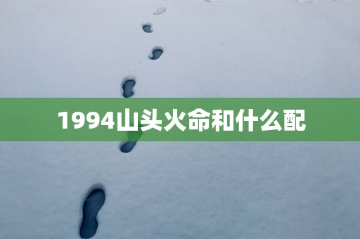 1994山头火命和什么配