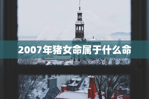 2007年猪女命属于什么命