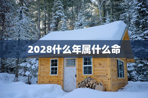2028什么年属什么命