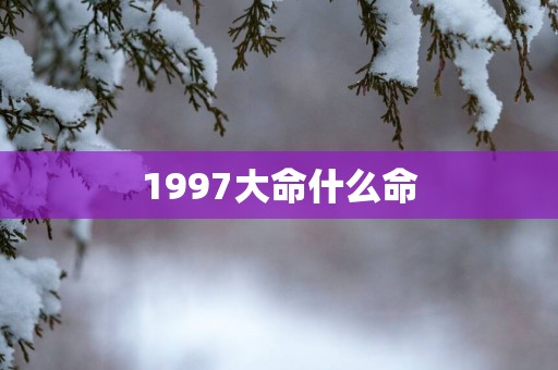 1997大命什么命