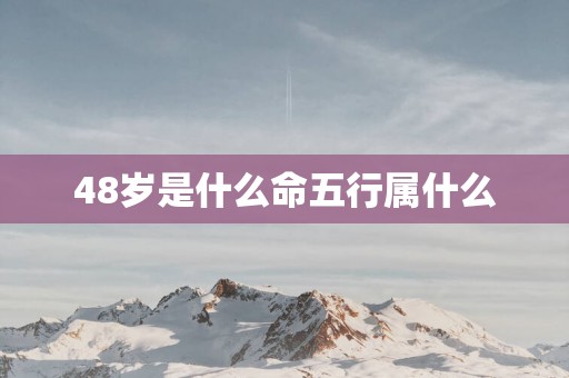 48岁是什么命五行属什么