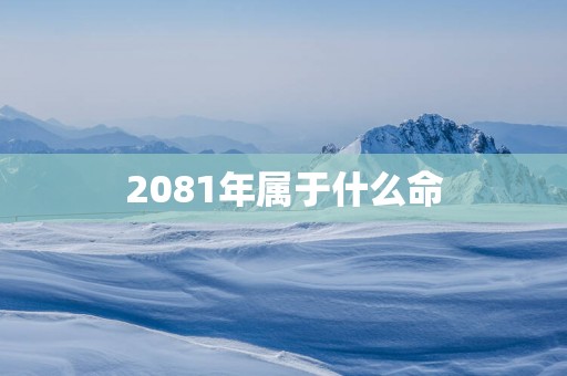 2081年属于什么命