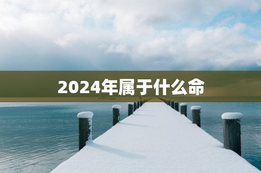 2025年属于什么命