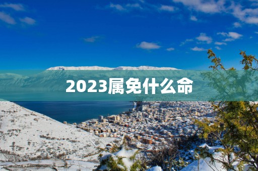 2025属免什么命