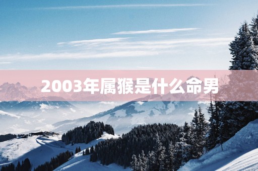 2003年属猴是什么命男