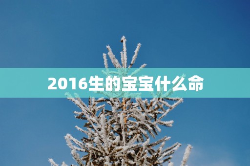 2016生的宝宝什么命