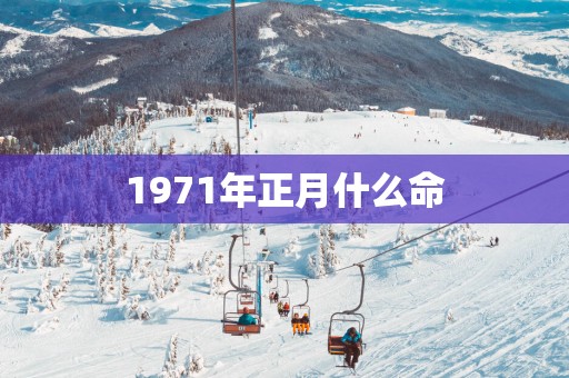 1971年正月什么命