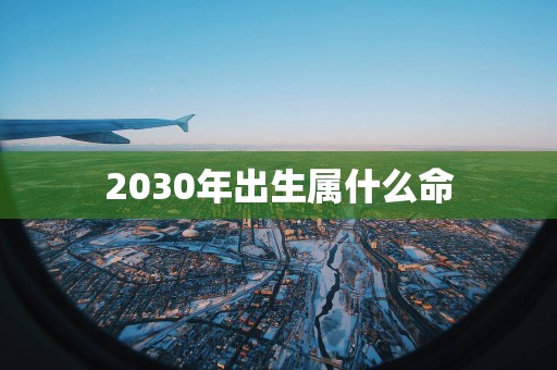 2030年出生属什么命