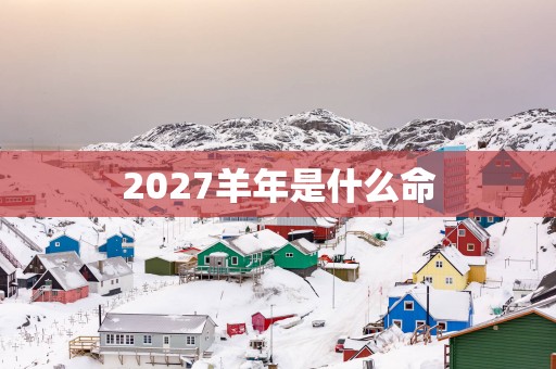 2027羊年是什么命