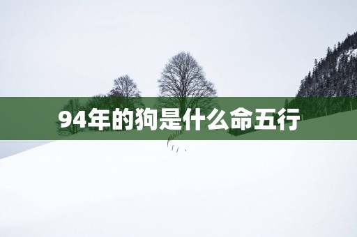 94年的狗是什么命五行