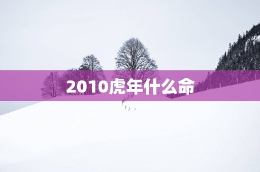 2010蛇年什么命