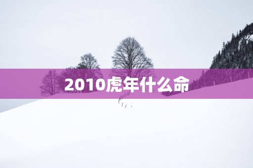 2010虎年什么命