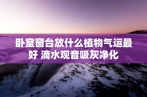 卧室窗台放什么植物气运最好 滴水观音吸灰净化