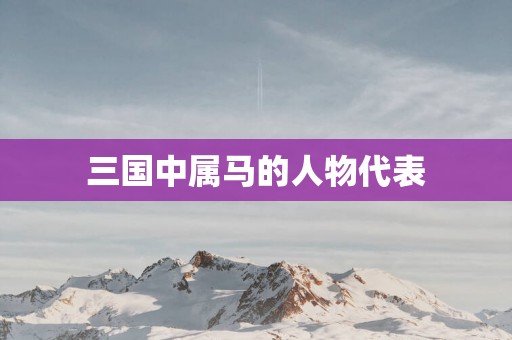 三国中属马的人物代表