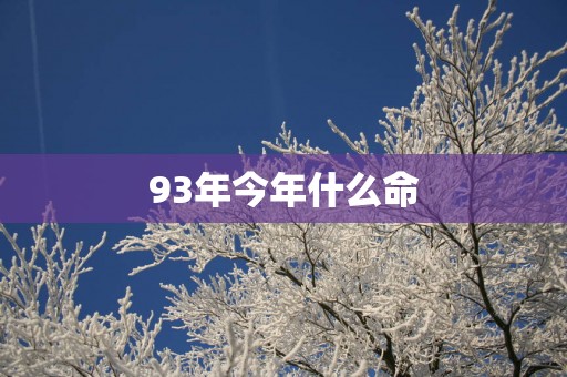 93年今年什么命