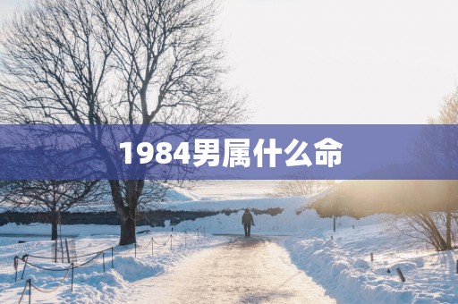 1984男属什么命